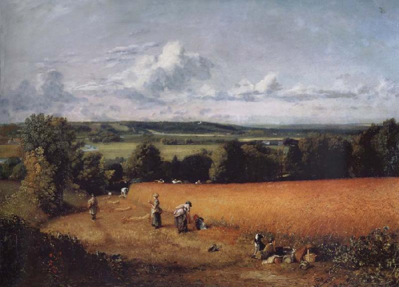 John Constable The wheatfield France oil painting art